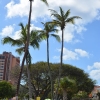 Zdjęcie z Curacao - 