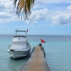 Zdjęcie z Curacao - 
