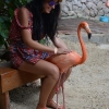 Zdjęcie z Curacao - 