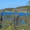 Zdjęcie z Curacao - 