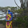 Zdjęcie z Curacao - 