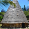 Zdjęcie z Nowej Kaledonii - Skansen przy Centrum Kulturalnym Jean-Marie Tjibaou