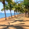 Zdjęcie z Nowej Kaledonii - La Promenade - piekna, wysadzana palmami, ulica wzdłuż plaży