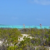 Zdjęcie z Bonaire - SOROBON