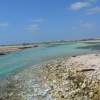 Zdjęcie z Bonaire - JEZIORA SOLNE
