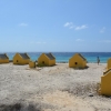 Zdjęcie z Bonaire - 