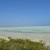 Zdjęcie z Bonaire - JEZIORO SOLNE