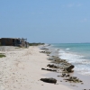 Zdjęcie z Bonaire - 