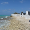 Zdjęcie z Bonaire - 