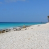 Zdjęcie z Bonaire - 