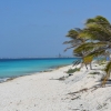Zdjęcie z Bonaire - 