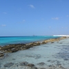 Zdjęcie z Bonaire - 