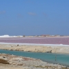 Zdjęcie z Bonaire - 