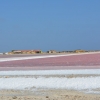 Zdjęcie z Bonaire - 