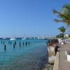 Zdjęcie z Bonaire - 