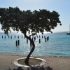 Zdjęcie z Bonaire - 