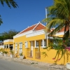 Zdjęcie z Bonaire - 