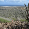 Zdjęcie z Bonaire - 
