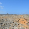 Zdjęcie z Bonaire - 