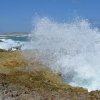 Zdjęcie z Bonaire - 