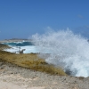 Zdjęcie z Bonaire - 