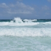 Zdjęcie z Bonaire - 