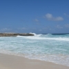 Zdjęcie z Bonaire - 