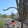 Zdjęcie z Bonaire - 