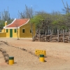 Zdjęcie z Bonaire - 