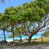 Zdjęcie z Nowej Kaledonii - Yejele Beach