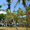 Zdjęcie z Nowej Kaledonii - I powrot inna droga na plaze 