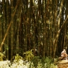 Zdjęcie ze Sri Lanki - Peradeniya