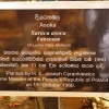 Zdjęcie ze Sri Lanki - Józio tu był już wtedy....