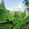 Zdjęcie ze Sri Lanki - herbaciane wzgórza Nuwara Eliya