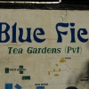 Zdjęcie ze Sri Lanki - żegnamy Blue Field