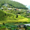 Zdjęcie ze Sri Lanki - Nuwara Eliya