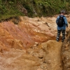 Zdjęcie ze Sri Lanki - trekking po Hortonie przez pewien odcinek odbywa się w takich plenerach....