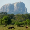 Zdjęcie ze Sri Lanki - Elephant Rock w całej okazałości