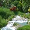 Zdjęcie z Vanuatu - W drodze do wodospadu Mele Cascades