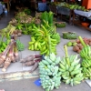 Zdjęcie z Vanuatu - Targ warzywny w centrum miasta