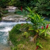 Zdjęcie z Vanuatu - W drodze do wodospadu Mele Cascades