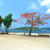 Zdjęcie z Vanuatu - Port Vila