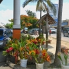 Zdjęcie z Vanuatu - Glowna ulica Port Vila