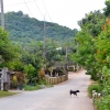 Zdjęcie z Tajlandii - Dalekie przedmiescia Chiang Rai