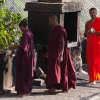 Zdjęcie ze Sri Lanki - 