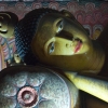 Zdjęcie ze Sri Lanki - 