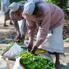 Zdjęcie ze Sri Lanki - 