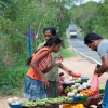 Zdjęcie ze Sri Lanki - 