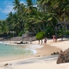 Zdjęcie ze Sri Lanki - Mirissa