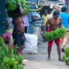 Zdjęcie ze Sri Lanki - 